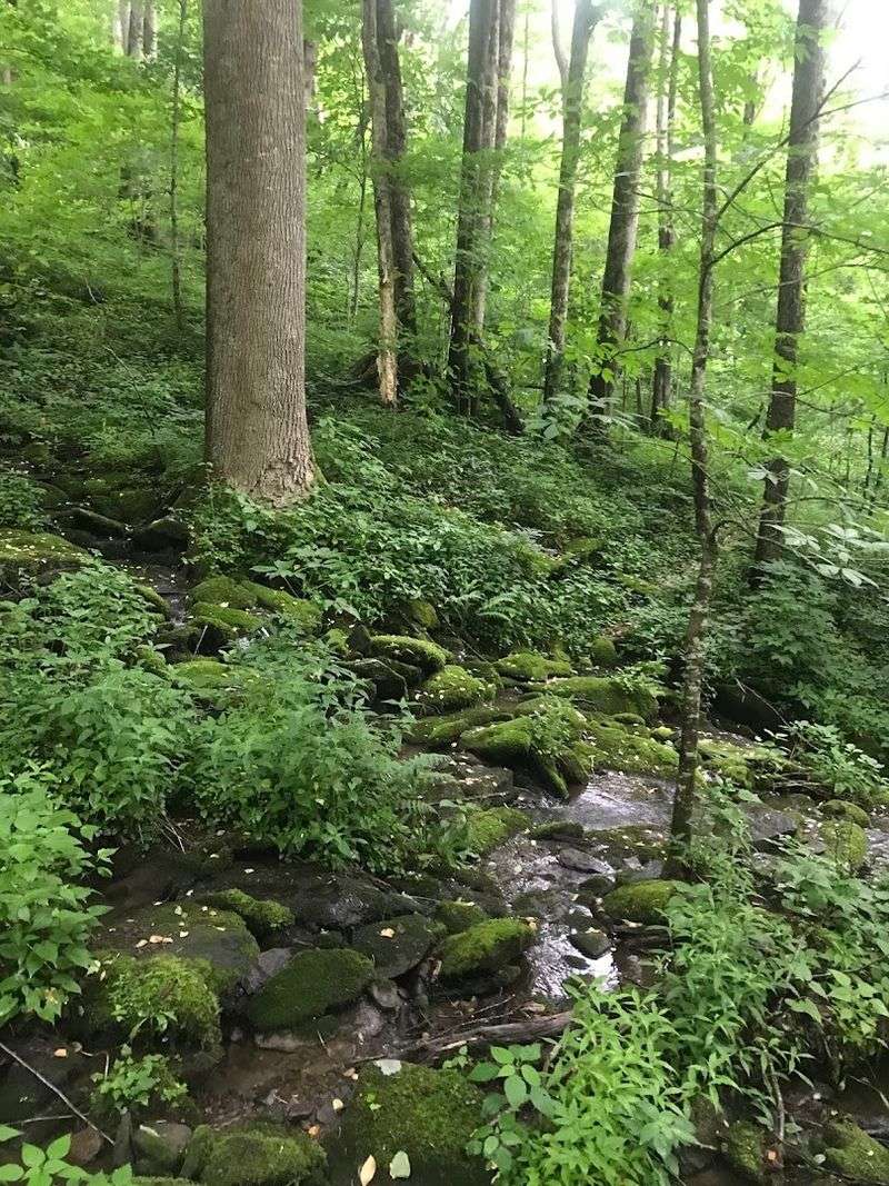 Slickrock Creek Trail (Nantahala National Forest)