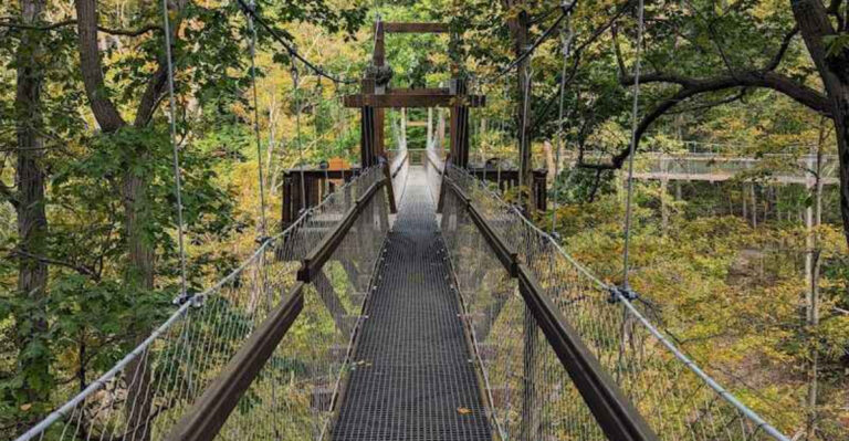 One Breathtaking Ohio Nature Spot Takes You High Among The Treetops For A Once-In-A-Lifetime Adventure