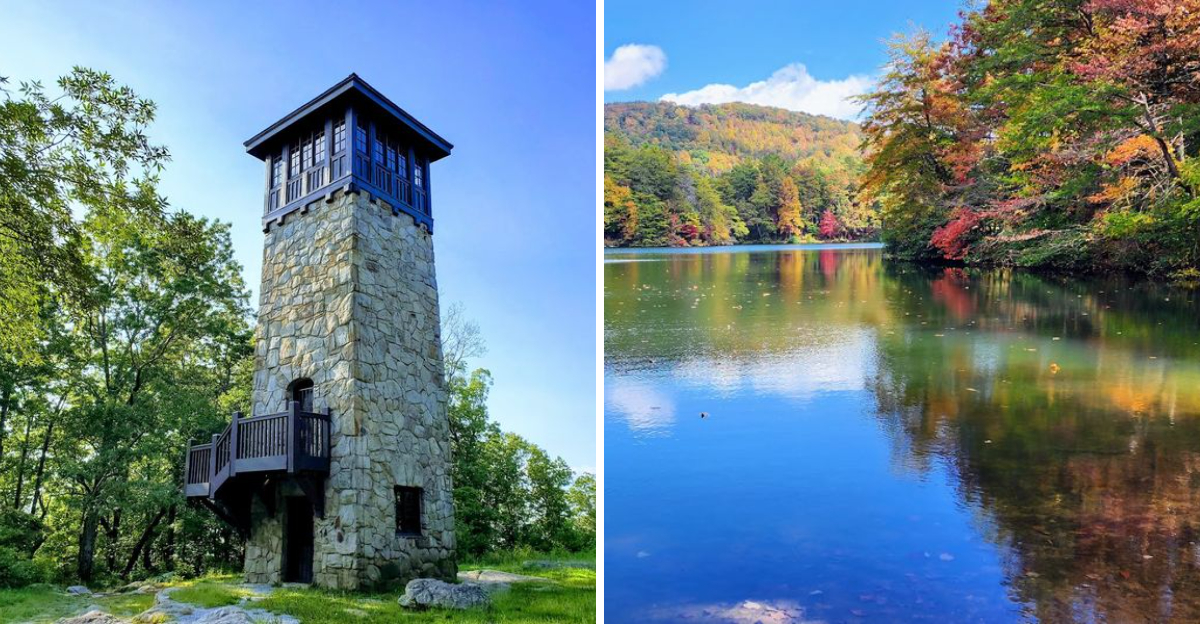 One of Georgia’s Most Overlooked State Parks Is Flying Under the Radar
