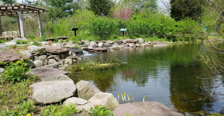 One of Pennsylvania’s Most Stunning Preserves Has Miles of Trails Surrounded by Rare Wildflowers