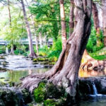 One of Texas’s Most Beautiful Towns Is Hiding in the Hill Country