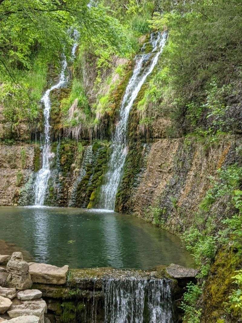 Dogwood Canyon Nature Park (Lampe)