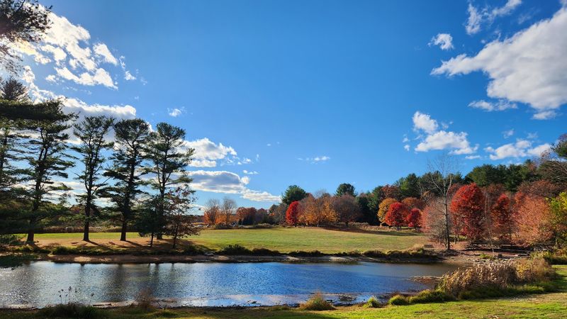 Great Brook Farm State Park (Carlisle)