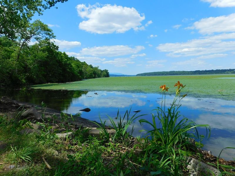 Esopus Meadows Preserve (Ulster County)