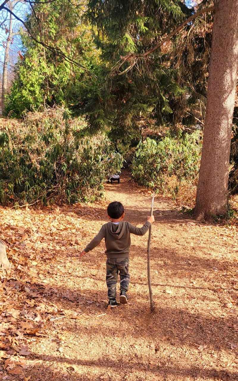 Color-Coded Trails Through New York Woodland