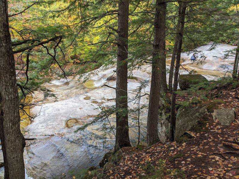 The Trail Starts Quiet, Then Pulls You In