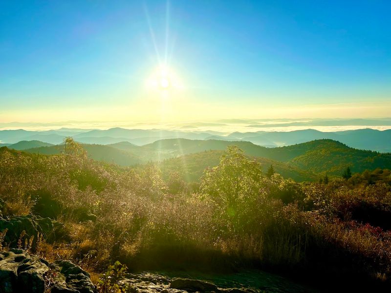 Black Balsam Knob via Ivestor Gap Trail (Pisgah National Forest)