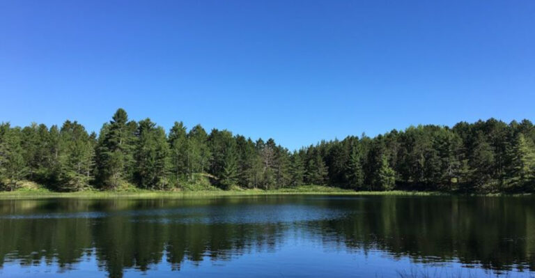Spontaneous Weekend? These 12 Michigan Campgrounds Don’t Require Reservations