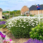 Step Into A Wonderland Vibe At These 15 Magical Michigan Gardens
