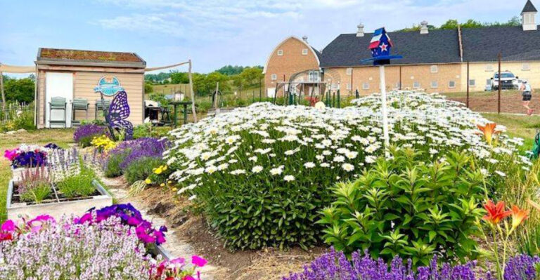 Step Into A Wonderland Vibe At These 15 Magical Michigan Gardens