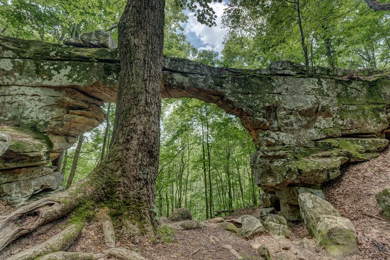 Tennessee Wilderness With Very Little Stage Dressing