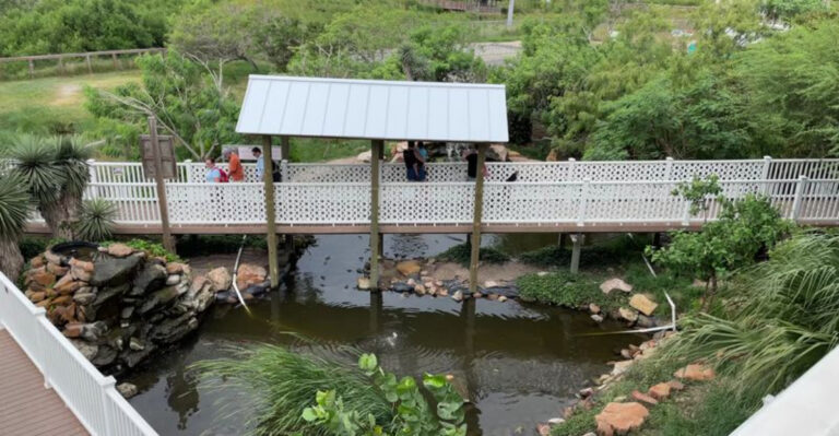 The 1.5-Mile Boardwalk at This Texas Coastal Preserve Is Free To Visit and Priceless To Experience