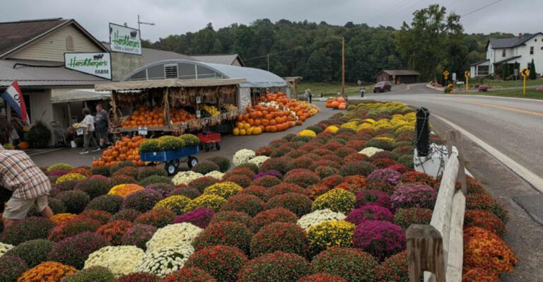 The Charming Ohio Stop Where Homemade Goodies And Farm Animals Await