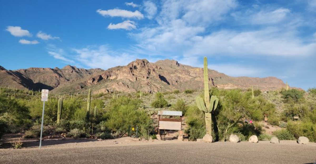 The Gentle 3-Mile Hike in Arizona That Leads to a Hidden Waterfall