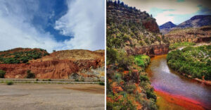The Hummingbird Capital of America Is in Arizona, and It’s Definitely Worth Adding to Your Bucket List