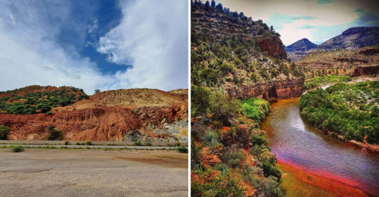 The Hummingbird Capital of America Is in Arizona, and It’s Definitely Worth Adding to Your Bucket List