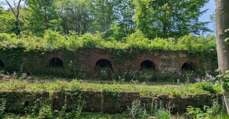 The Mysterious Ohio State Park That’s Straight Out Of The Twilight Zone