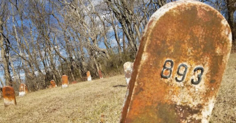 The New Jersey Cemetery Where Nearly a Thousand Nameless People Are Buried With Just a Number