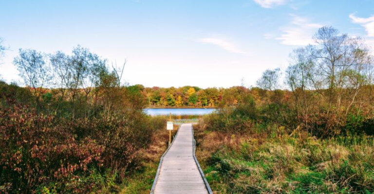 The Ohio State Park Where Everything Feels Slightly Too Mysterious