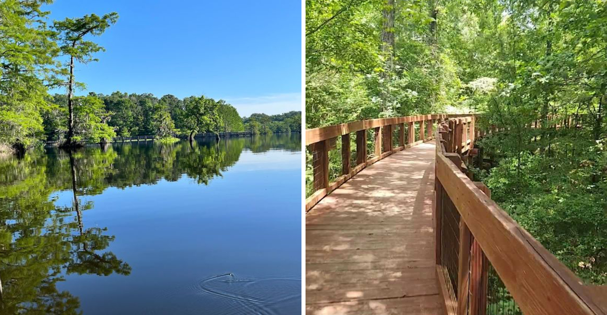 The Picturesque State Park in Louisiana That Remains One of the State’s Best-Kept Secrets