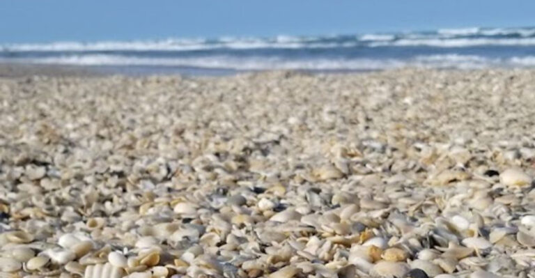 These 13 Stunning Texas Beaches Still Feel Like Local Secrets