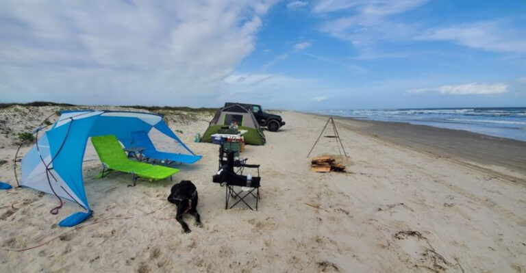 These 9 Dog-Friendly Texas Beaches Belong On Every Pet Owner’s Bucket List