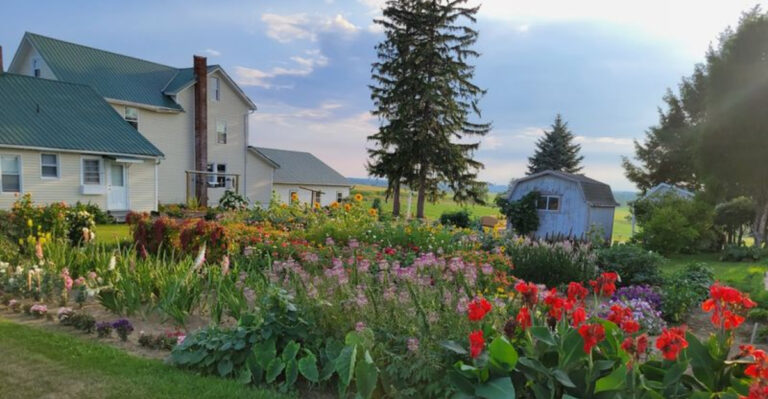 These Picturesque Ohio Spots Turn A Drive Into A Fairytale Route Every Time