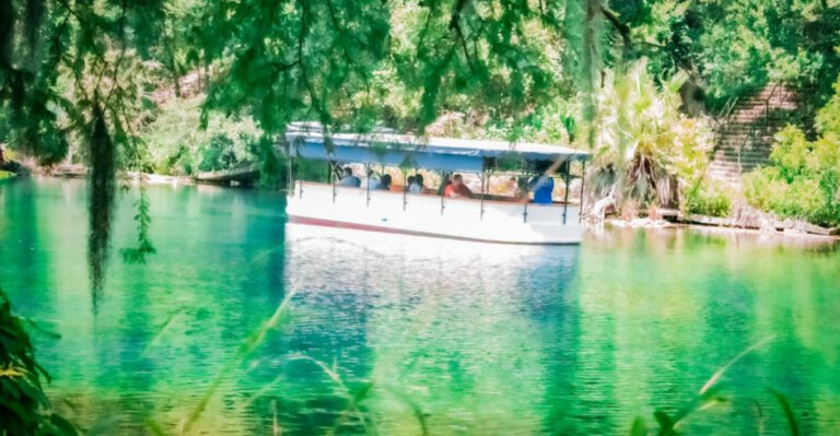 These Texas Glass-Bottom Boat Tours Offer Unreal Underwater Views