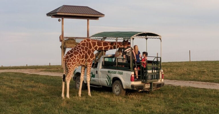 This 10,000-Acre Safari-Like Zoo In Ohio Offers Amazing Encounters With Rare Animals