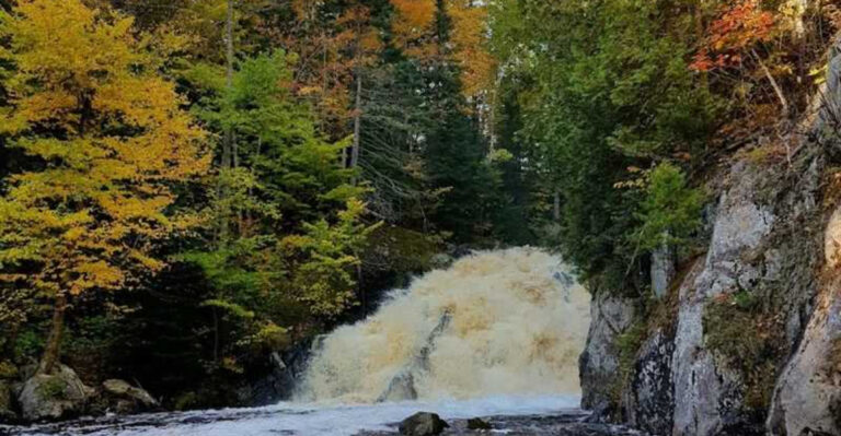 This 1.7-Mile Michigan Hike Is Short, Scenic, And Ends With A Stunning Waterfall