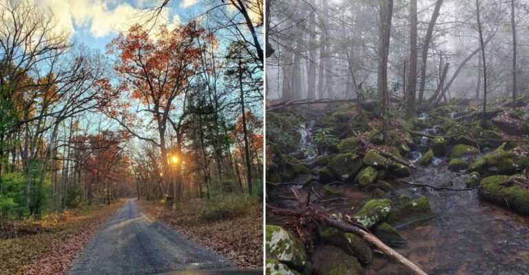This 190,000-Acre Pennsylvania Mountain Forest Is A Peaceful Retreat Filled With Long Trails And Secluded Campgrounds