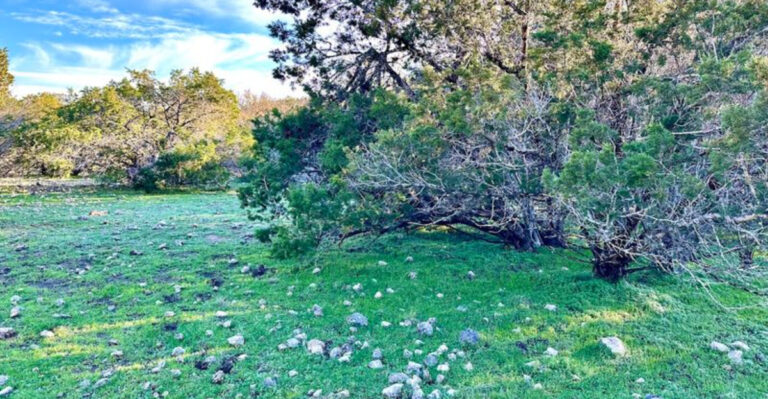 This 2-Mile Texas Trail Is Our June Hike of the Month