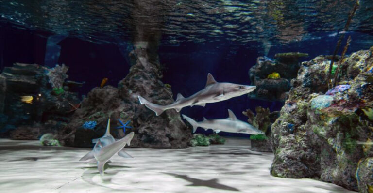 This Aquarium And Reptile Exhibit In Pennsylvania Allows You to Get Surprisingly Close To Exotic Animals