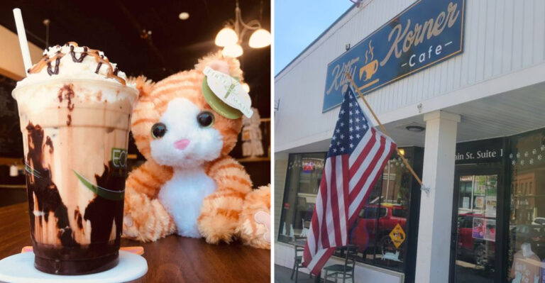 This Cat-Themed Cafe in Vermont Is Every Cat Lover’s Dream Come True