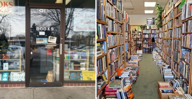 This Charming Bookstore in Colorado Combines Endless Aisles With Resident Cats
