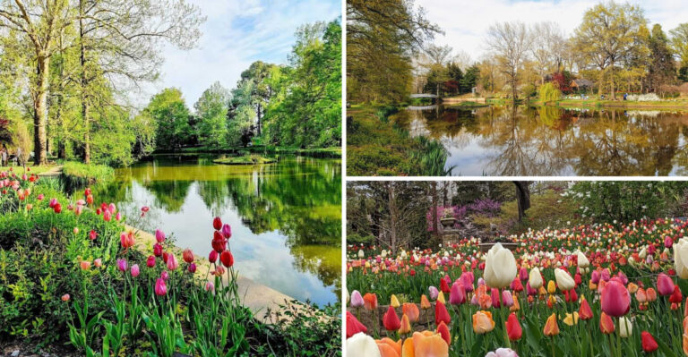 This Dreamy Arboretum in Kansas Is So Beautiful, It Feels Like a Claude Monet Painting