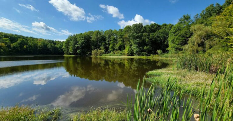 This Dreamy National Park In Ohio Feels Like A Postcard Come To Life – And It’s Perfect For Day Trips