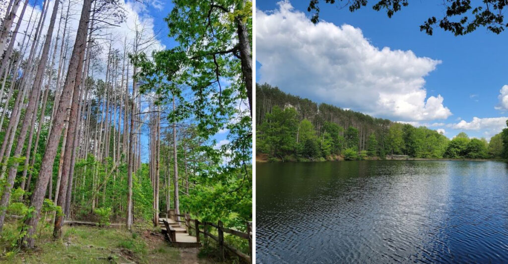 This Easy 0.8-Mile Indiana Hike Leads to a Hidden Waterfall Created by a Historic Dam