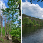 This Easy 0.8-Mile Indiana Hike Leads to a Hidden Waterfall Created by a Historic Dam