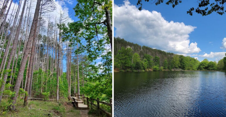 This Easy 0.8-Mile Indiana Hike Leads to a Hidden Waterfall Created by a Historic Dam