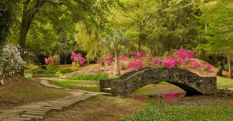 This Enchanting Botanical Garden in Louisiana Looks Like Something Out of a Fairytale