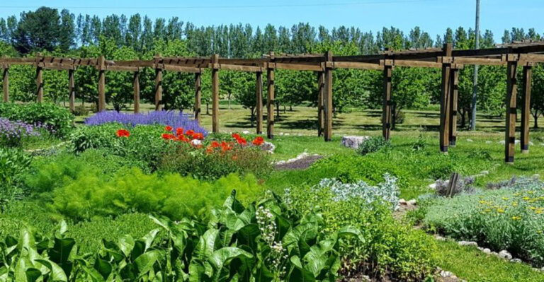 This Enchanting Michigan Lavender Labyrinth Is Even Visible On Google Earth