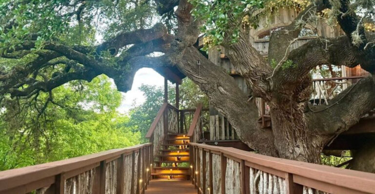 This Enchanting Treehouse Restaurant in Texas Looks Like a Fairytale Come to Life