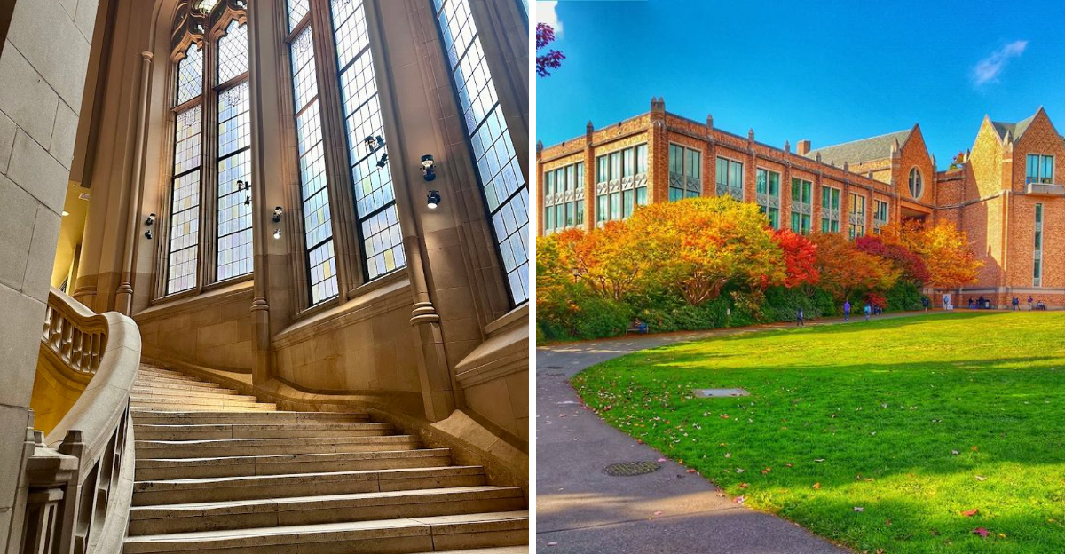 This Hidden Library in Washington Feels Like a Portal to Another World