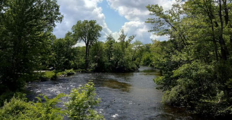 This Huge Michigan Park Has Riverfront Trails, Elite Disc Golf, and Birds That Eat From Your Hand