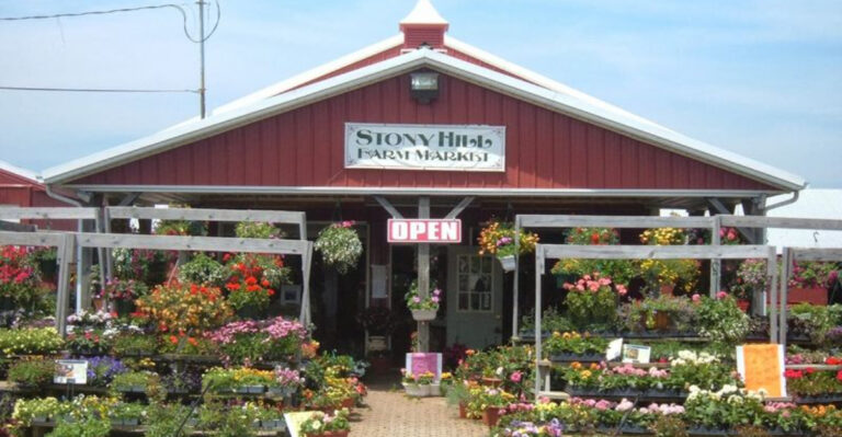 This Huge New Jersey Farm Lets You Wander Greenhouses, Pick Produce, and Explore Orchards