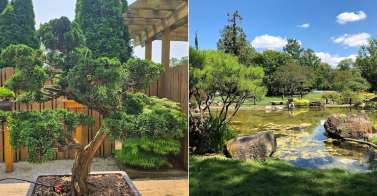 This Little-Known Garden In Ohio Is So Stunning You’ll Feel Like You’re Inside A Painting