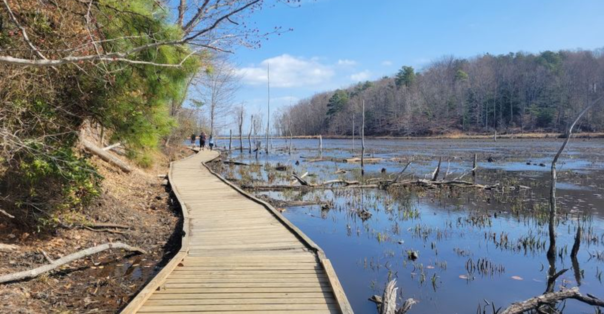 This Little-Known Maryland State Park Is a Dream Destination for Shark Tooth Hunters