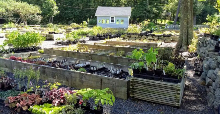 This Little-Known New Jersey Farm Is Packed With Rare Herbs and Garden Magic