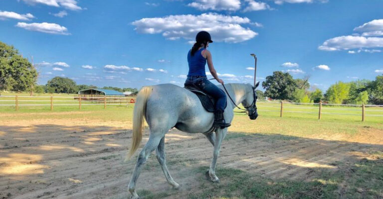 This Little-Known Texas Farm Lets You Ride Retired Racehorses